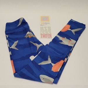 Beach Lularoe Leggings 
